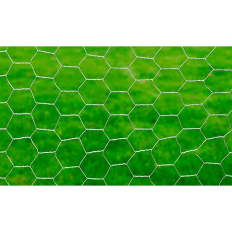 Vidaxl Chicken Wire 25x1 m galwanizowany stalowy srebrny kolor