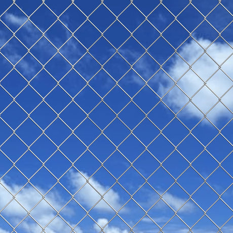 Vidaxl Mesh Fence 25x1,25 M ocynkowana stalowa srebrna kolorowa