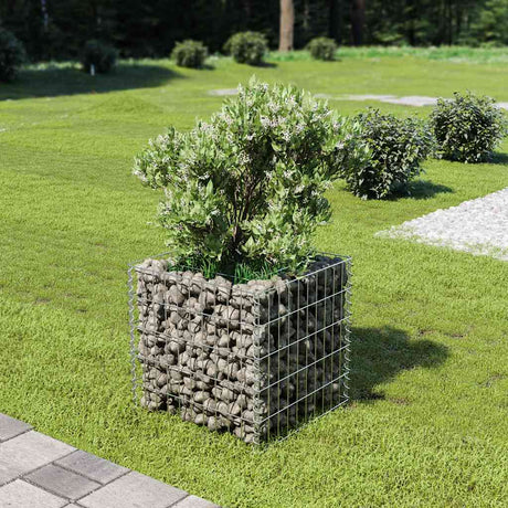 Vidaxl Gabion Sadzarka podniesiona stal ocynkowana 50x50x50 cm