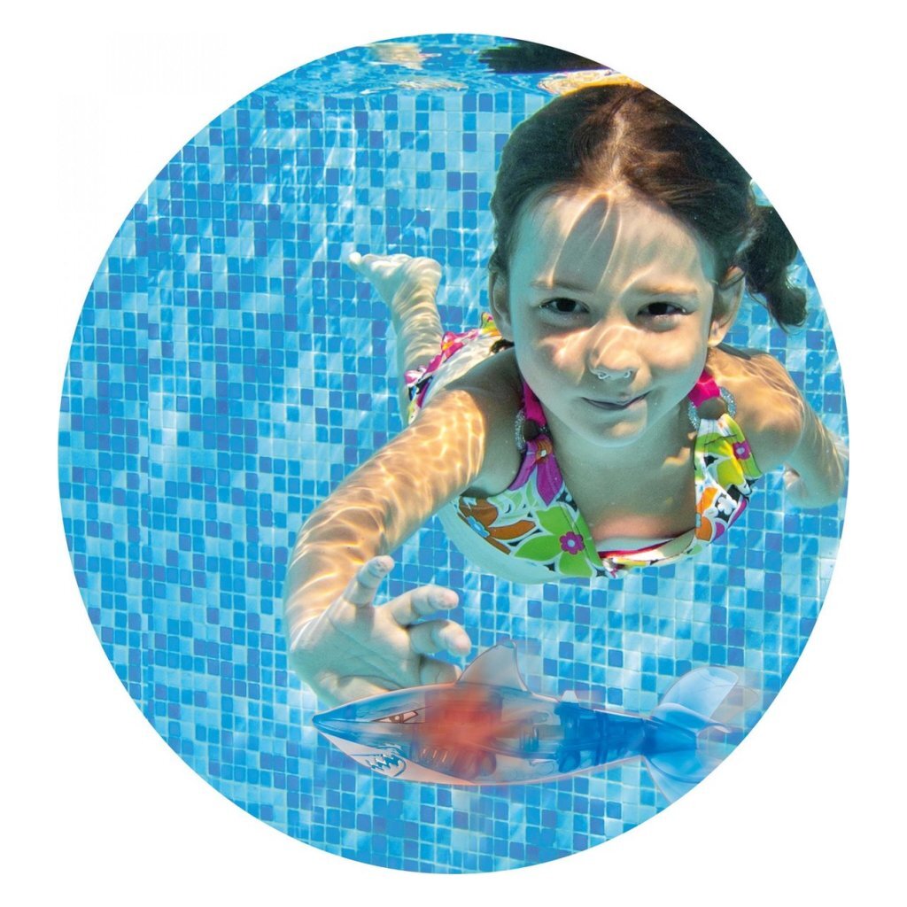 Splash nurkowanie rekin + światło