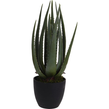 Inne marki sztuczna roślina Aloe Vera 25x45 cm zielona