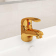 Vidaxl Mixing Tap 13x10 cm złota