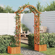 Vidaxl Pergola z sadzarem litym sinewood