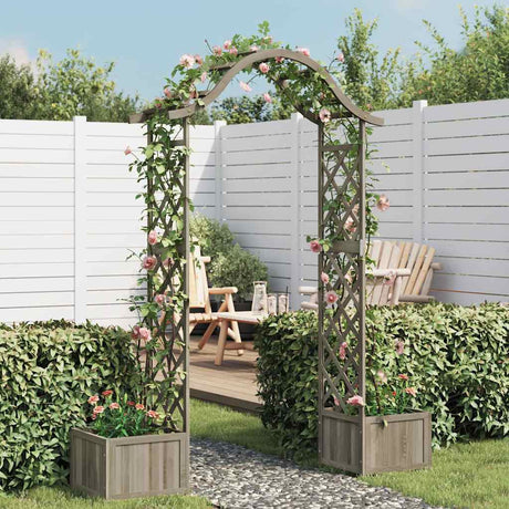 Vidaxl pergola z sadzacyjną sosną szarością