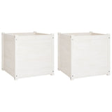 Vidaxl Sadza 2 St 60x60x60 cm stała sosna biała