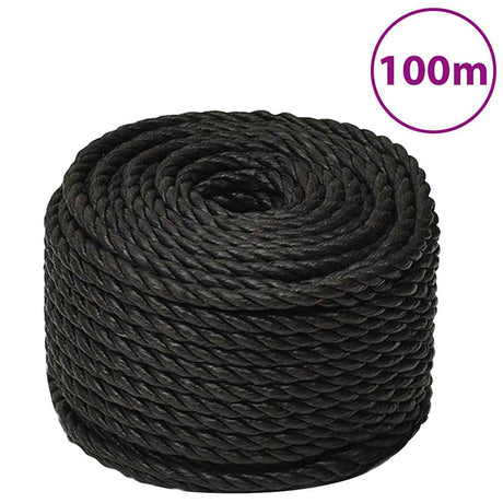 Lina robocza Vidaxx 10 mm 100 m, polipropylenowa, czarna