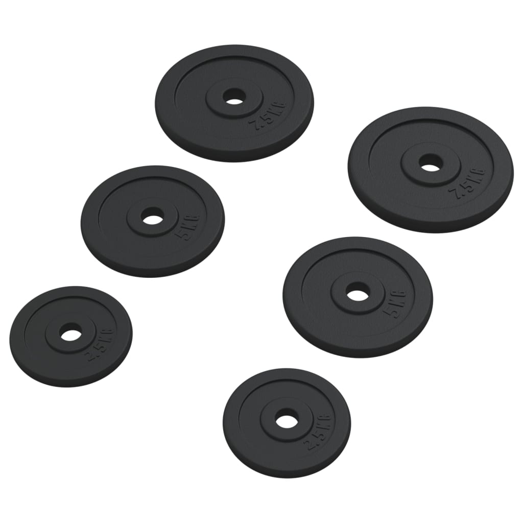 VIDAXL CALTER DISCS 6 szt. 30 kg żeliwa