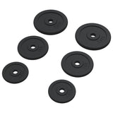 VIDAXL CALTER DISCS 6 szt. 30 kg żeliwa