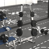 VIDAXL CALTER DISCS 6 szt. 30 kg żeliwa