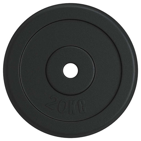 VIDAXL CALTER DISC 20 kg żeliwa