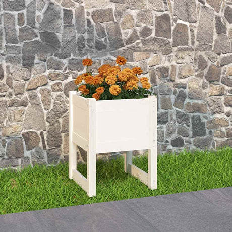 Vidaxl Sadzarka Big 40x40x52,5 cm stała sosna biała