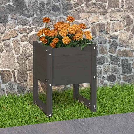 Vidaxl Planning Box 40x40x52,5 cm stałej sosny szarości