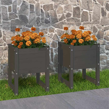 Vidaxl Sadza 2 St 40x40x52,5 cm stałą sosnową szarość szarości
