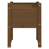 Vidaxl Planning Box 40x40x52,5 cm stałego sosny miód brązowy