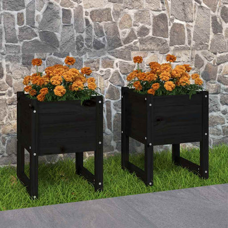 Vidaxl Sadza 2 St 40x40x52,5 cm stała sosna czarna