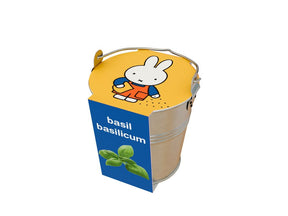 Basil nijntje kruiden in zinken emmertje