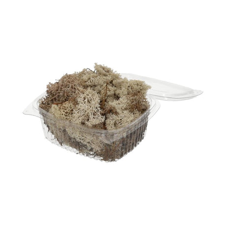 Hbx naturalny żywy mech reniferowy 50gr biały mech reniferowy 50gr biały