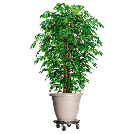 Vidaxl plantentrolleys met wielen 3 st 275 kg diameter 40 cm zwart