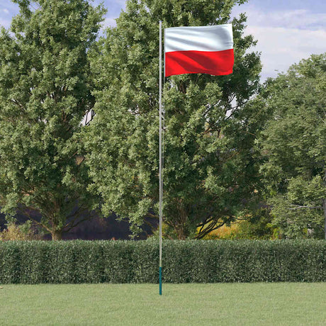 Flaga Vidaxl z masztami flagowymi 6,08 m aluminium