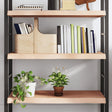 Vidaxl wandschap 80x40x(2-6) cm onbehandeld massief eikenhout