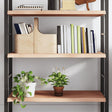 Vidaxl wandschap 80x50x(2-4) cm onbehandeld massief eikenhout