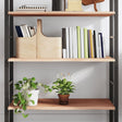 Vidaxl wandschap 80x60x2 cm onbehandeld massief eikenhout