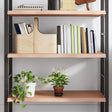 Vidaxl wandschap 100x40x(2-4)cm behandeld massief eikenhout lichtbruin