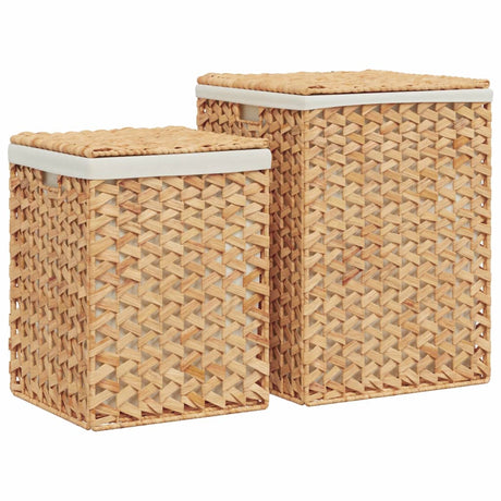 Vidaxl Lundry Caskets 2 St Waterhyacint