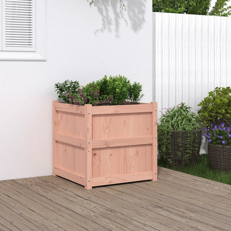 Donica Vidaxx 60x60x60 cm z litego drewna daglezji