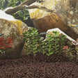 VidaXL kamienie lawowe 10 kg 1-2 cm czerwone