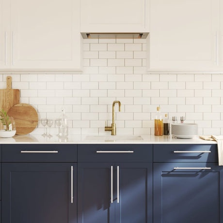 Uchwyty Vidaxx 10 szt. 224 mm ze stali nierdzewnej w kolorze srebrnym