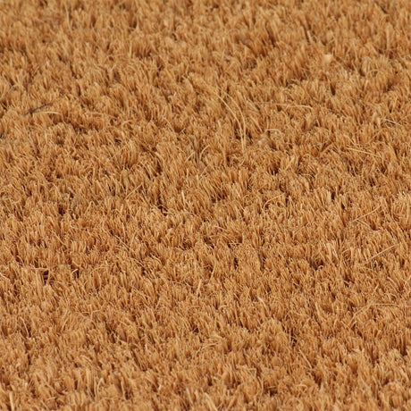 Wycieraczki Vidaxx 2 szt. 40x60 cm tuftowane włókno kokosowe naturalne
