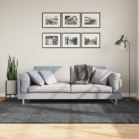 Dywan Vidaxx Oviedo z niskim włosiem, 160x230 cm, antracyt