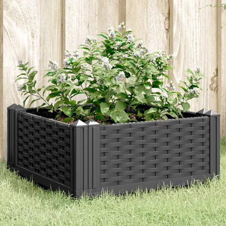 Sadzarka Vidaxx z kołkami 42,5x42,5x28,5 cm polipropylen czarna