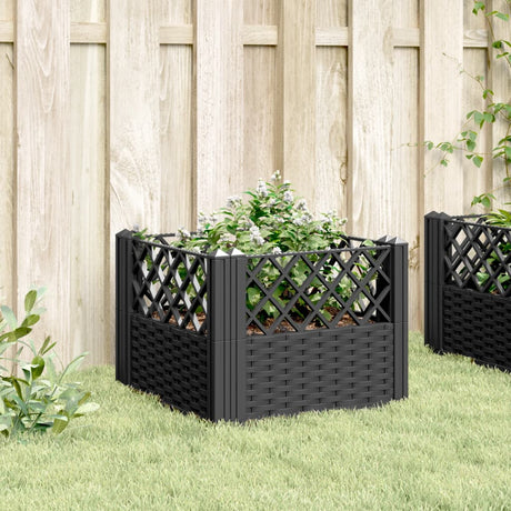Sadzarka Vidaxx z kołkami 43,5x43,5x43,5 cm polipropylen czarna