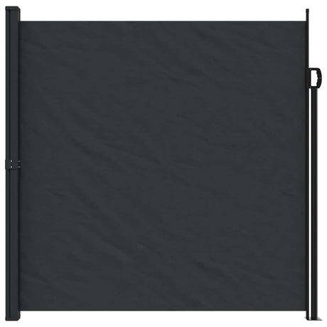 Rozsuwana szyba przednia Vidaxx 200x500 cm czarna