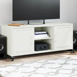 Vidaxl tv-meubel 100,5x39x43,5 cm staal wit