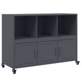 Vidaxl dressoir 100,5x39x72 cm staal antracietkleurig