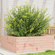 Donica Vidaxx 70x70x23 cm z litego drewna daglezji