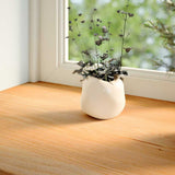 Parapety Vidaxx 2 szt. 110x20x2 cm lity dąb jasnobrązowy