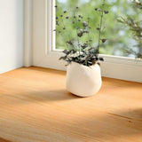 Parapety Vidaxx 2 szt. 140x30x2 cm lity dąb jasny brąz