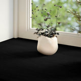Parapety Vidaxx 2 szt. 90x20x2 cm lity dąb ciemny brąz