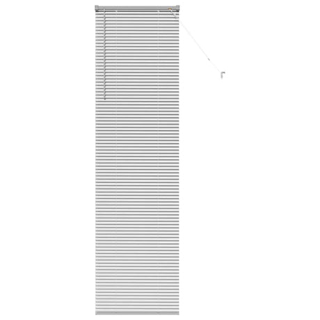 Vidaxl venetiaanse jaloezie zilver 220 x 60 cm 25 mm aluminium