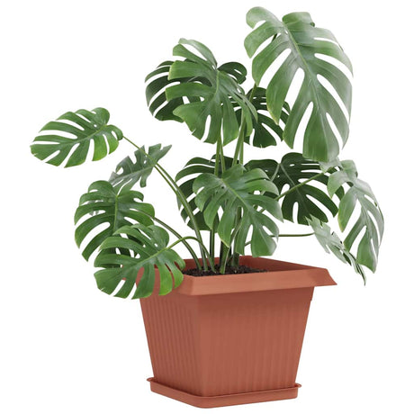 Vidaxl vierkante bloemenschotel 6 st baksteenrood 21 x 21 x 2 cm