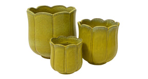 Set a 3 blossom planter terracotta klei licht geel 42cm x 42cm