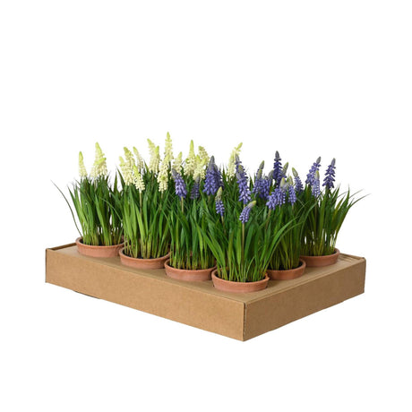 Decoris sztuczne winogrona w doniczce ø11xh26cm 2 różne