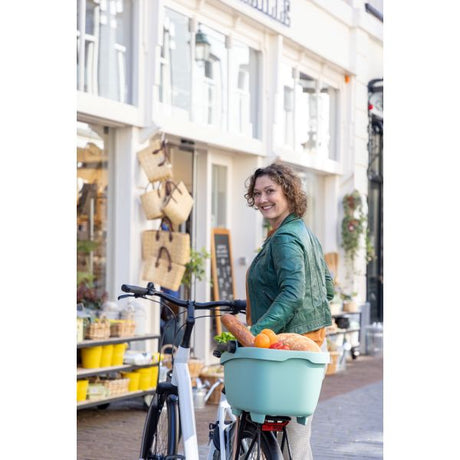 Nowy looxs mand Clipper Green Racktime 2.0 28L 47x37x27 cm 700,811RT2.0