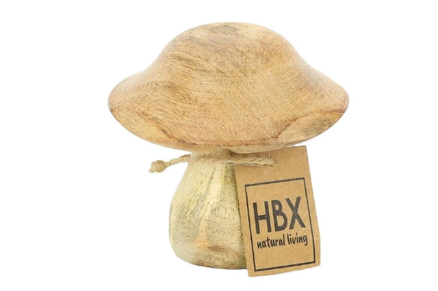 HBx naturalne drewno mango z żywymi grzybami