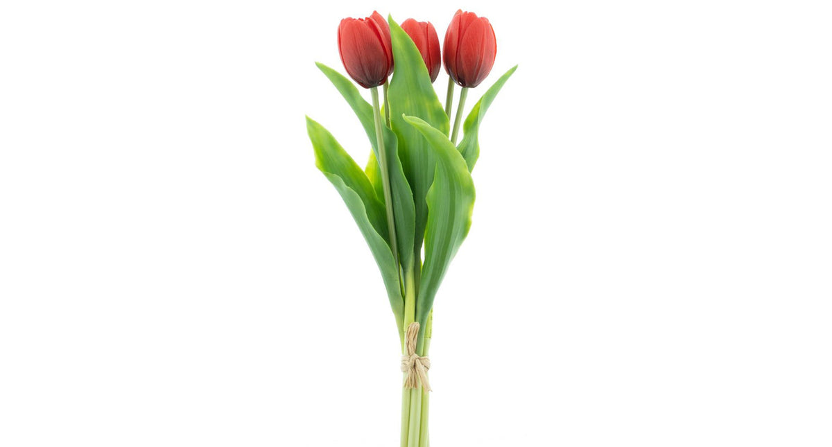 Real touch holland tulip bundle sally x5 red 36cm