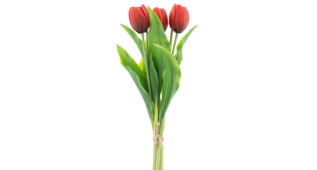Real touch holland tulip bundle sally x5 red 36cm